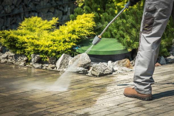 Best Sidewalk and Walkway Cleaning  in Bloomington, CA